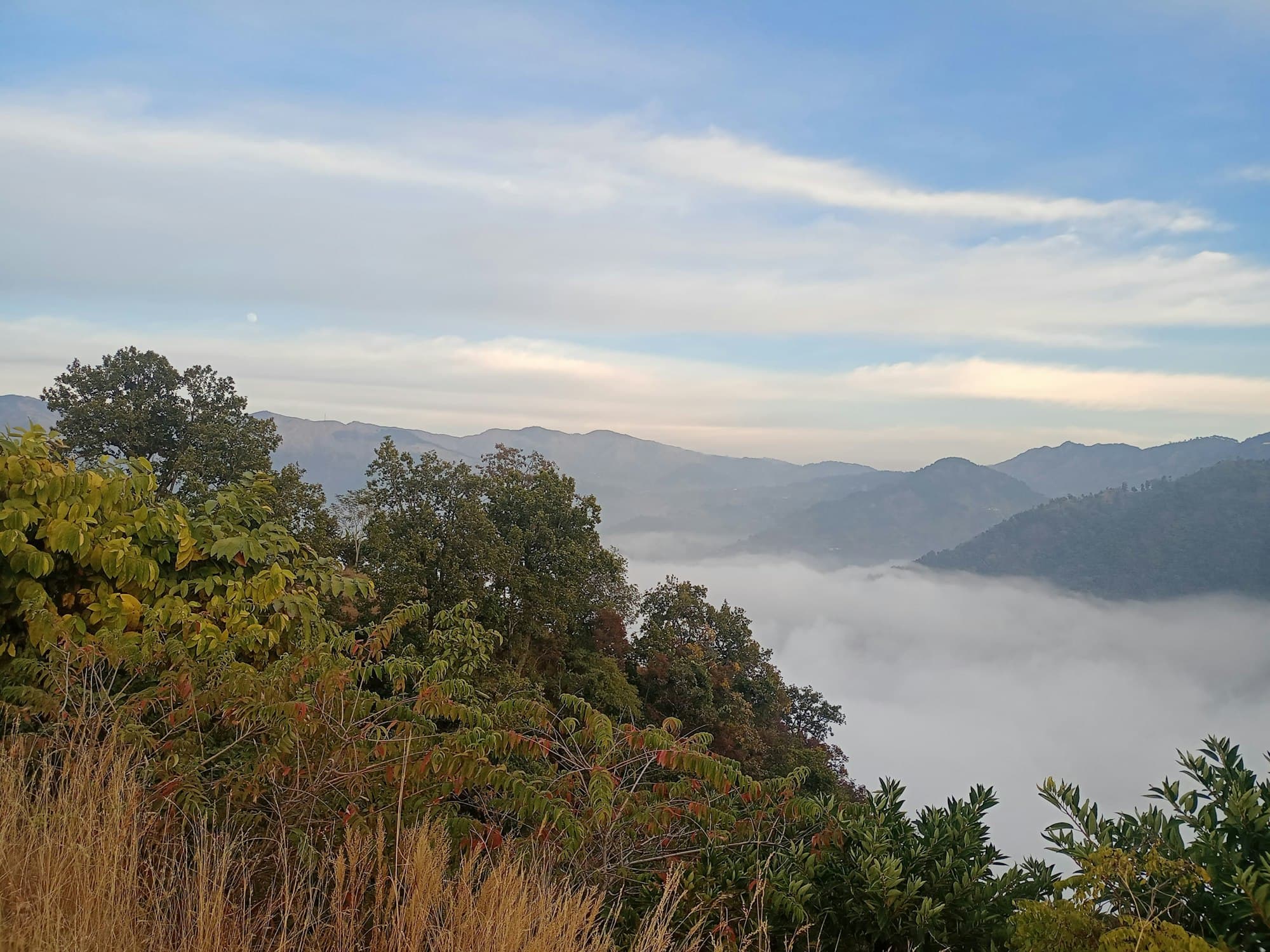 Forested Himalayan ridges above a sea of low clouds