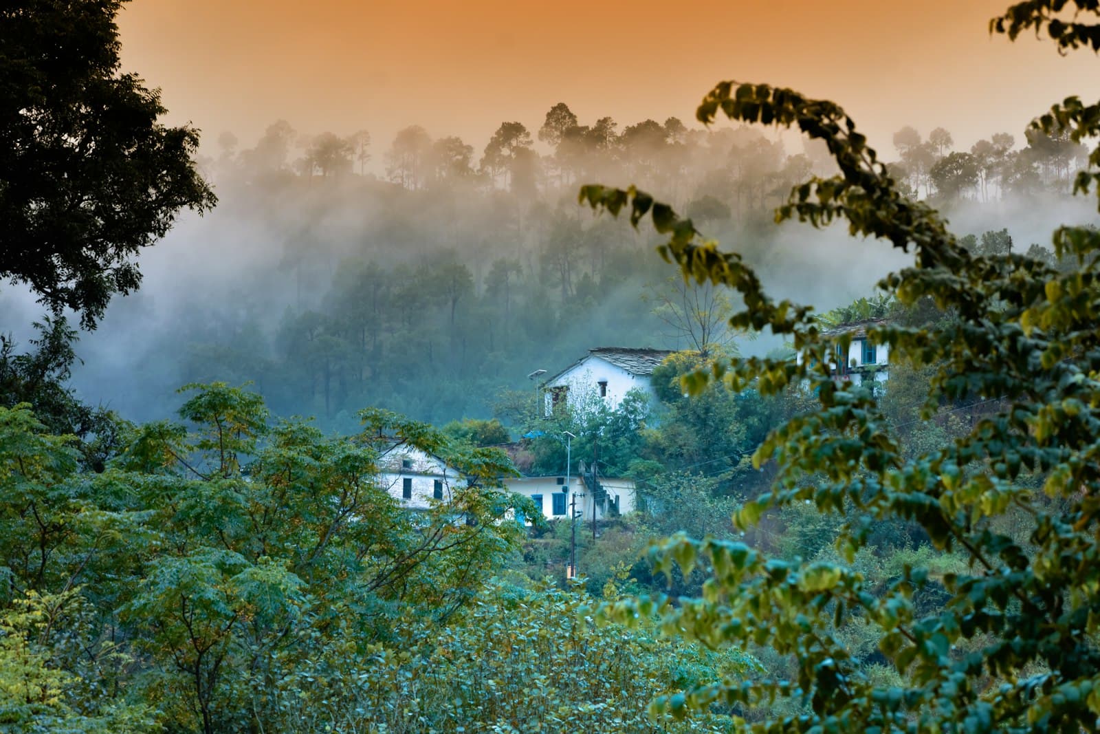 White-walled hill houses among pine forest in morning mist under an orange sky